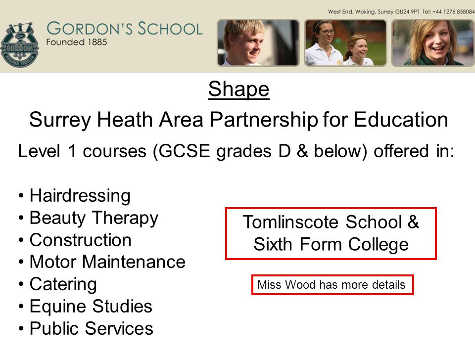 Shape Surrey Heath Area Partnership for Education Level 1 courses (GCSE grades D & below) offered in: Hairdressing Beauty Therapy Construction Motor Maintenance Catering Equine Studies Public Services Tomlinscote School & Sixth Form College Miss Wood has more details