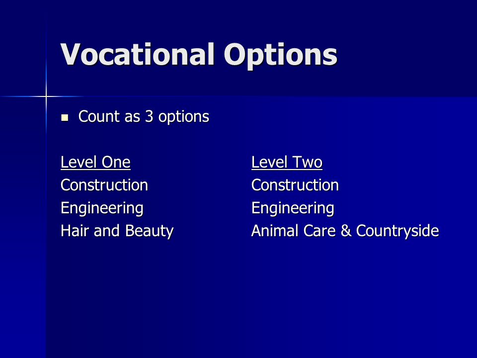 Vocational Options Count as 3 options Count as 3 options Level OneLevel Two ConstructionConstruction EngineeringEngineering Hair and BeautyAnimal Care & Countryside