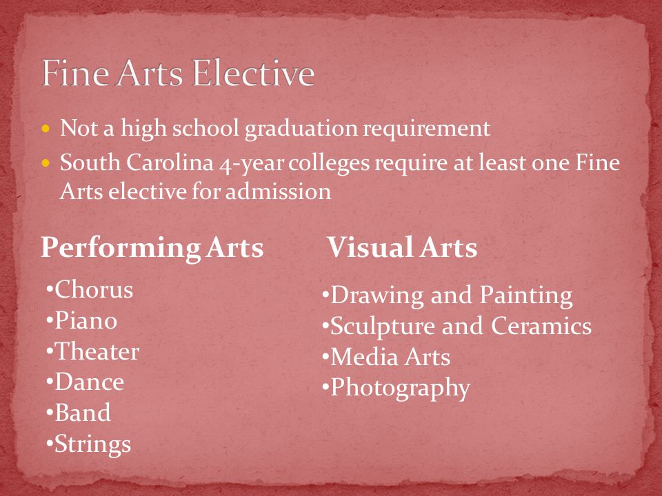 Not a high school graduation requirement South Carolina 4-year colleges require at least one Fine Arts elective for admission Drawing and Painting Sculpture and Ceramics Media Arts Photography Performing ArtsVisual Arts Chorus Piano Theater Dance Band Strings