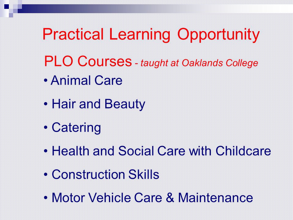 Animal Care Hair and Beauty Catering Health and Social Care with Childcare Construction Skills Motor Vehicle Care & Maintenance Practical Learning Opportunity PLO Courses - taught at Oaklands College