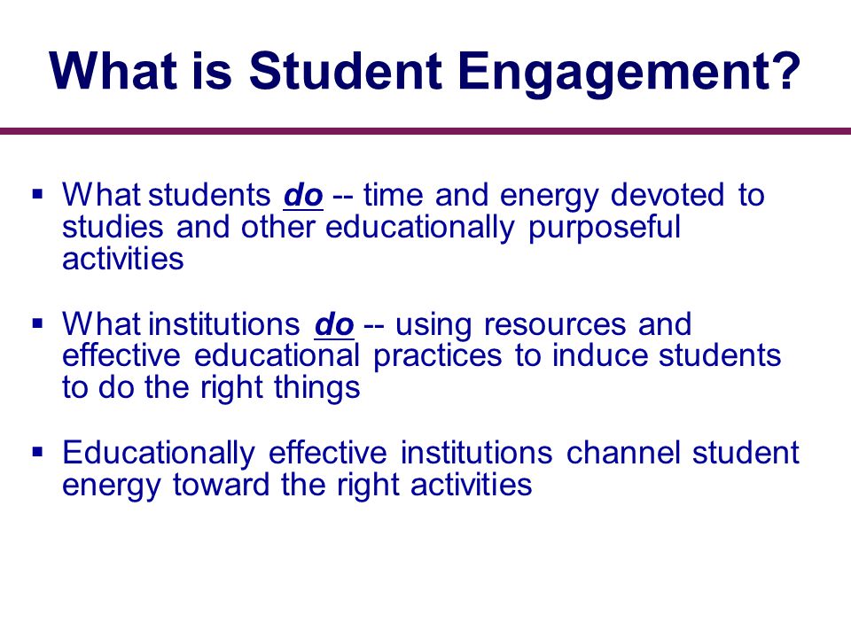 What is Student Engagement.