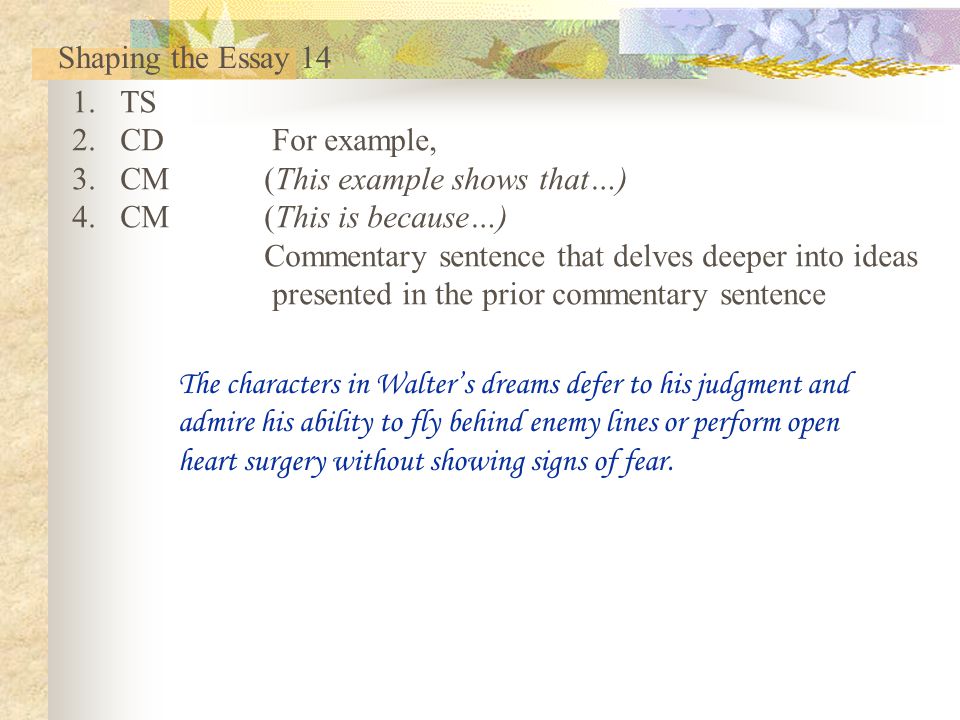 presentation commentary essay presentation commentary essay