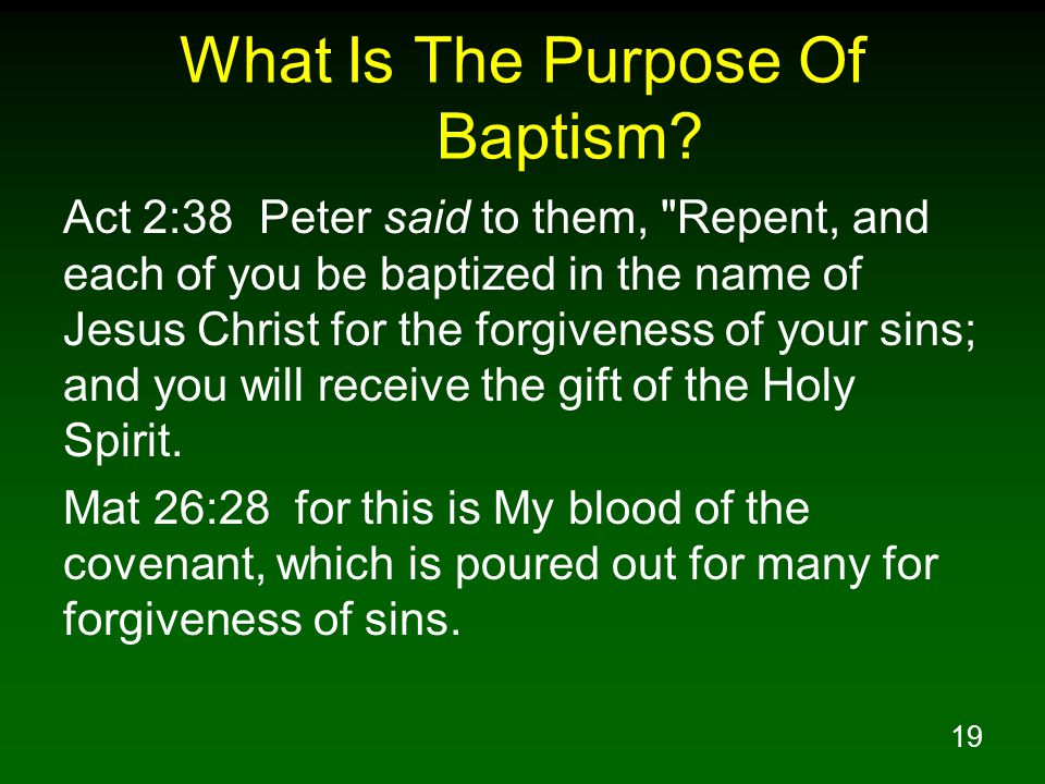 19 What Is The Purpose Of Baptism.