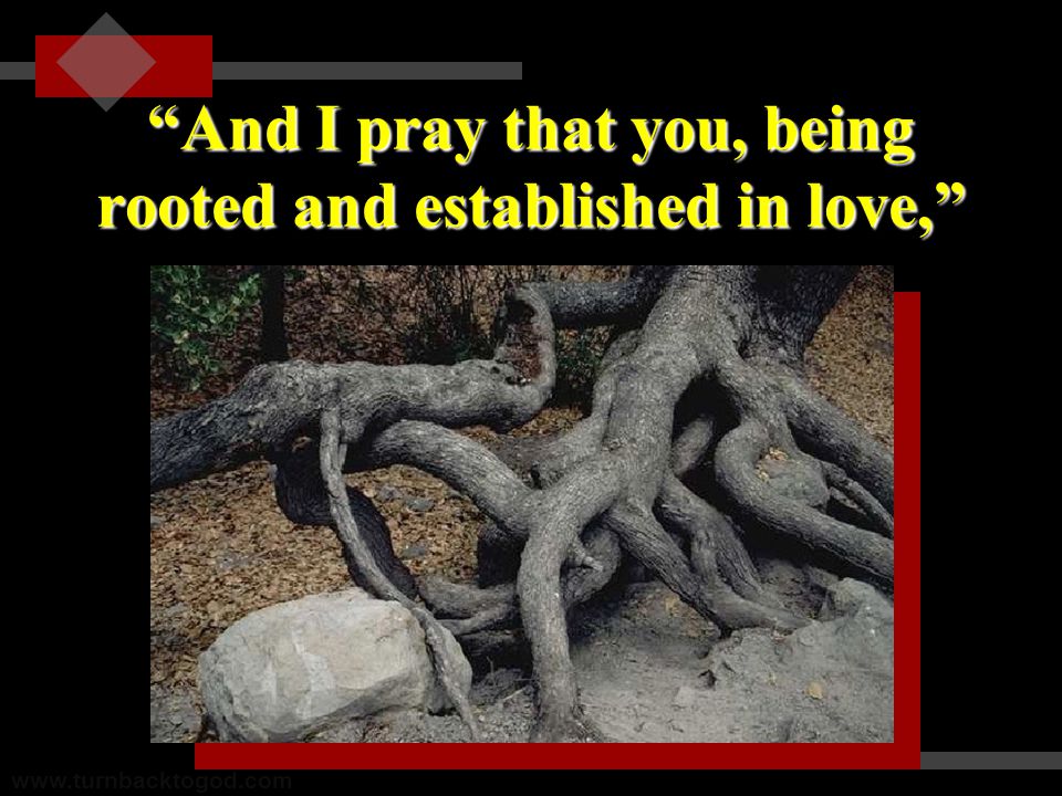 And I pray that you, being rooted and established in love,