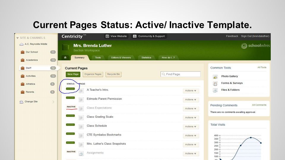 Current Pages Status: Active/ Inactive Template.