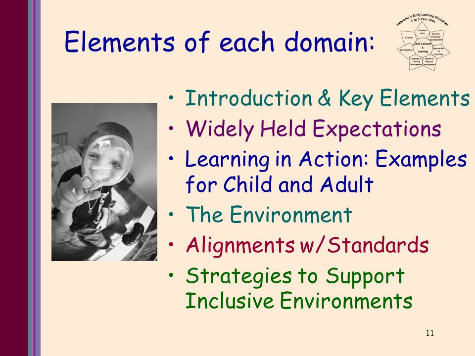 11 Elements of each domain: Introduction & Key Elements Widely Held Expectations Learning in Action: Examples for Child and Adult The Environment Alignments w/Standards Strategies to Support Inclusive Environments