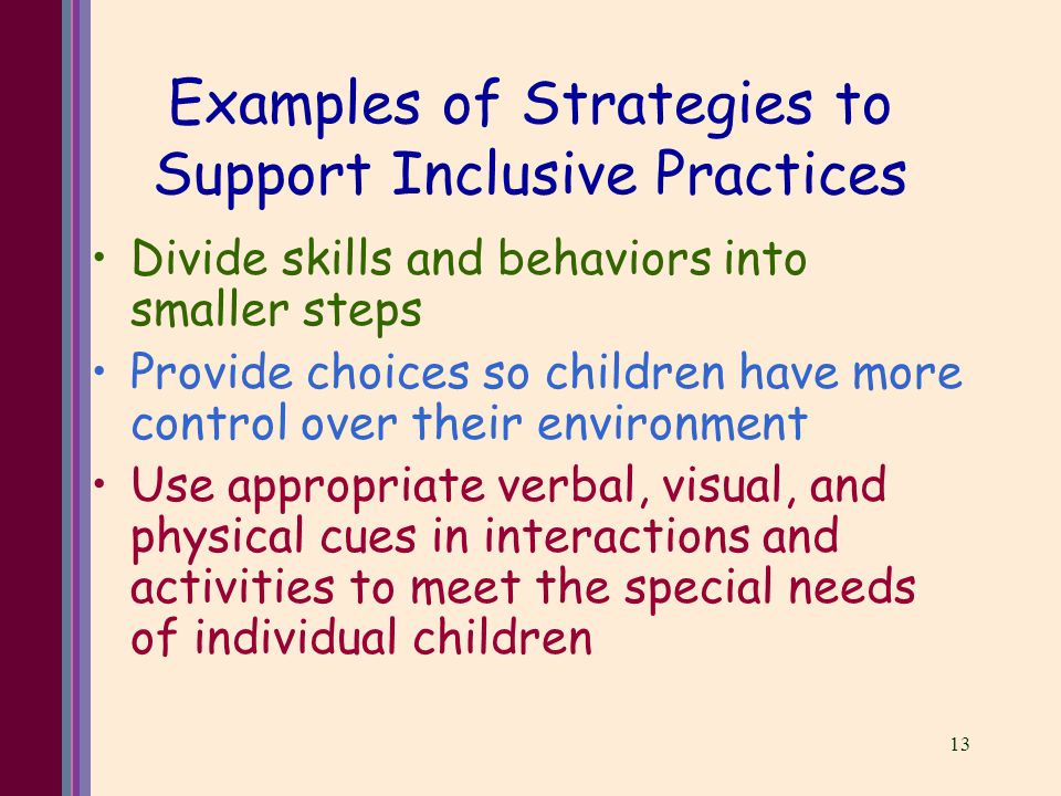 13 Examples of Strategies to Support Inclusive Practices Divide skills and behaviors into smaller steps Provide choices so children have more control over their environment Use appropriate verbal, visual, and physical cues in interactions and activities to meet the special needs of individual children
