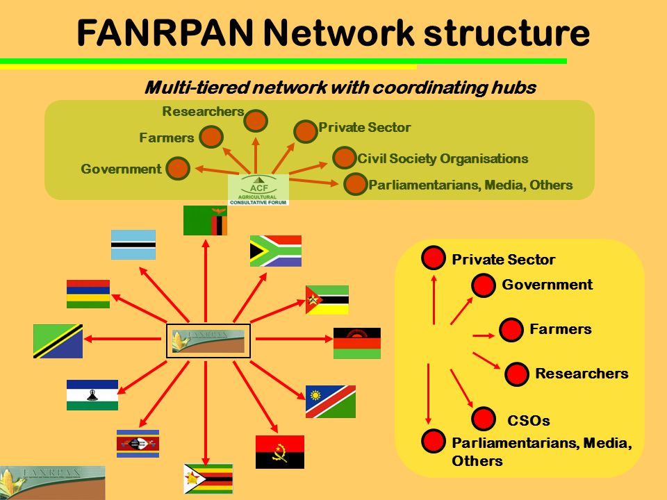 Government Farmers Researchers Private Sector Civil Society Organisations Parliamentarians, Media, Others FANRPAN Network structure Farmers Researchers Government Private Sector Parliamentarians, Media, Others CSOs Multi-tiered network with coordinating hubs