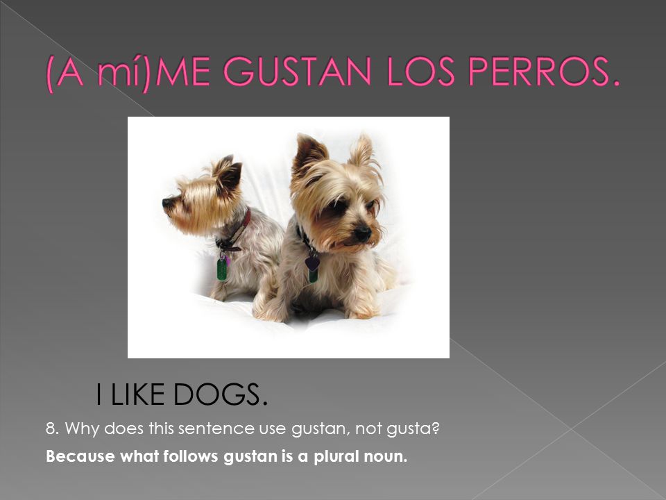 I LIKE DOGS. 8. Why does this sentence use gustan, not gusta.
