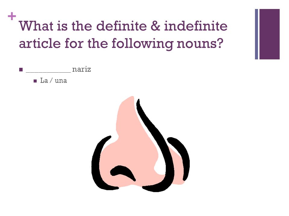 + What is the definite & indefinite article for the following nouns ___________ nariz La / una