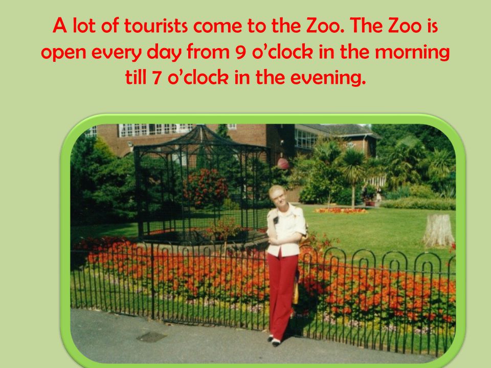 A lot of tourists come to the Zoo.