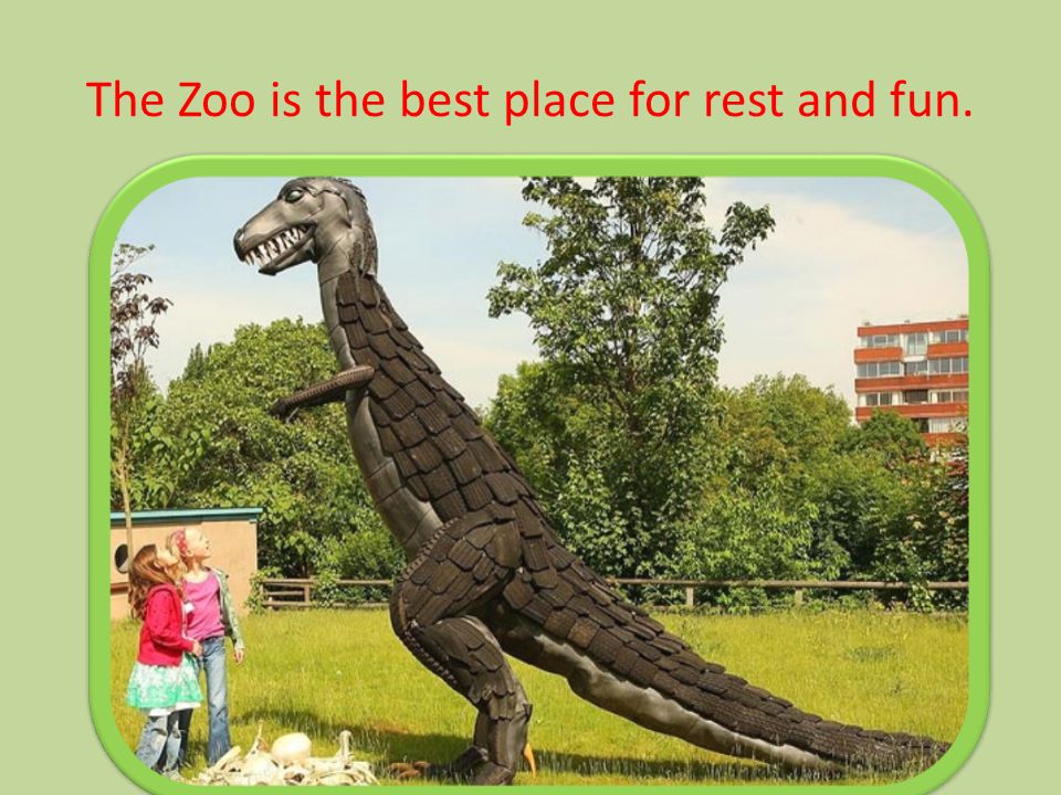 The Zoo is the best place for rest and fun.