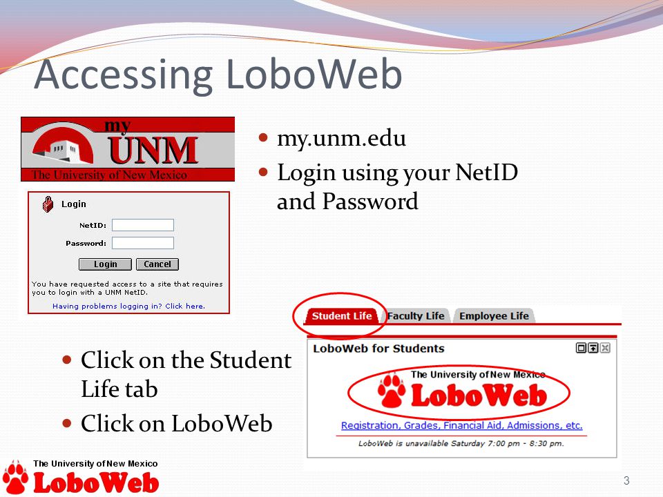 Accessing LoboWeb 3 Click on the Student Life tab Click on LoboWeb my.unm.edu Login using your NetID and Password
