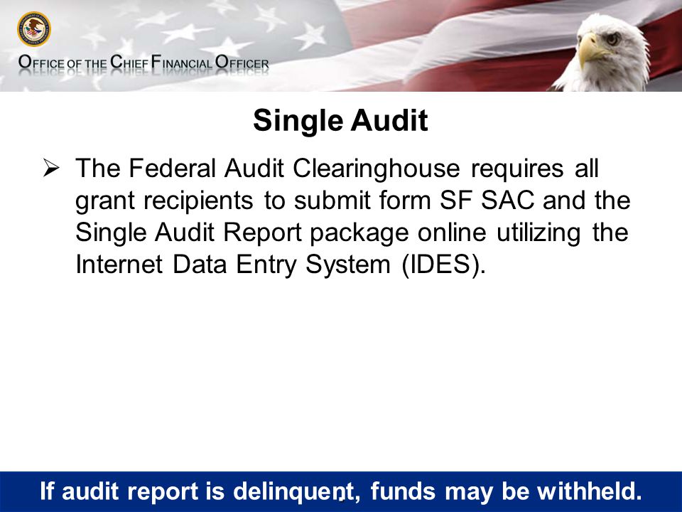 Single Audit  The Federal Audit Clearinghouse requires all grant recipients to submit form SF SAC and the Single Audit Report package online utilizing the Internet Data Entry System (IDES)..
