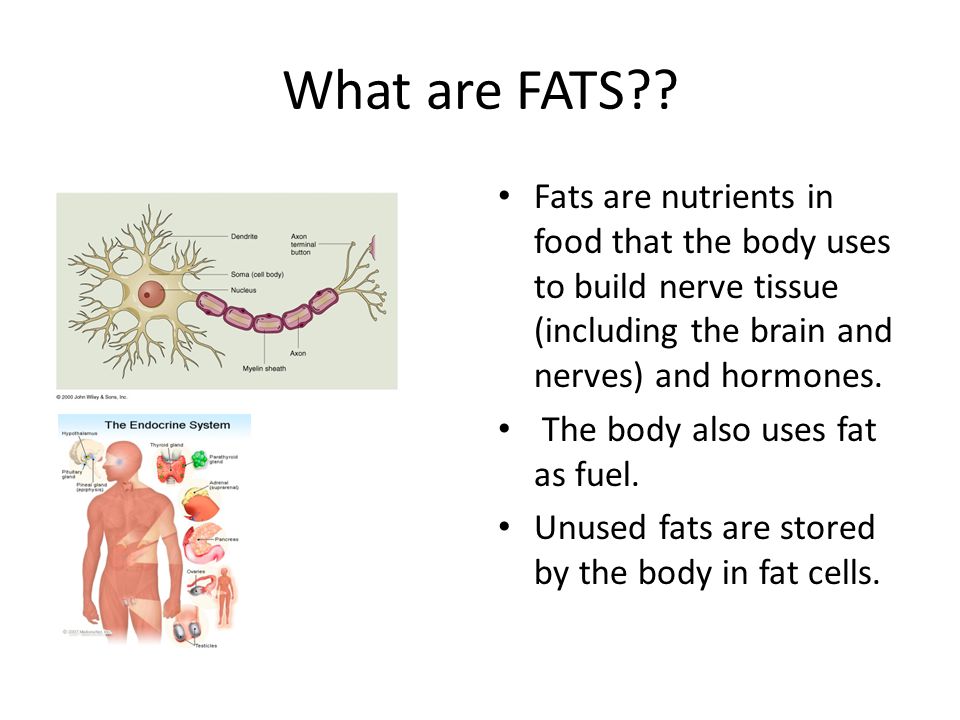 What are FATS .