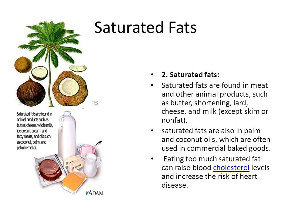Saturated Fats 2.