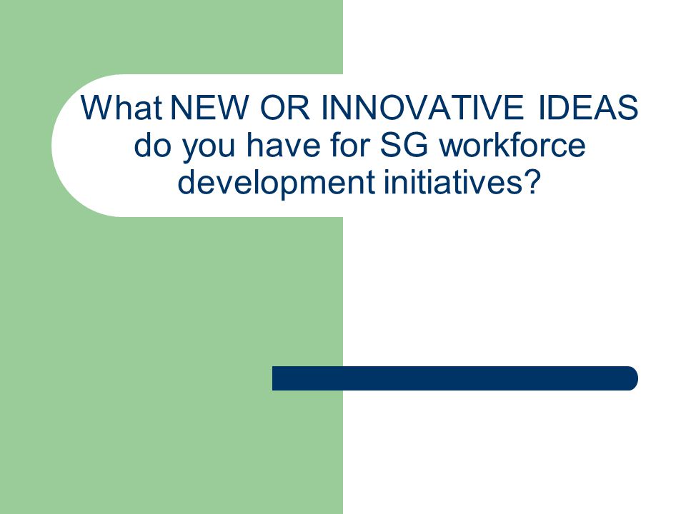 What NEW OR INNOVATIVE IDEAS do you have for SG workforce development initiatives