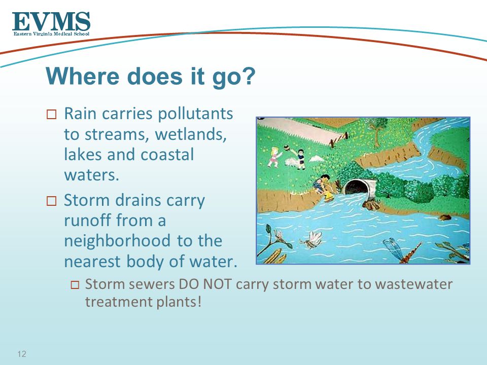  Rain carries pollutants to streams, wetlands, lakes and coastal waters.