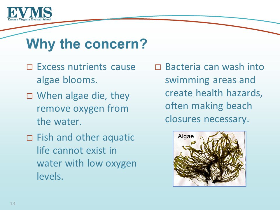  Excess nutrients cause algae blooms.  When algae die, they remove oxygen from the water.