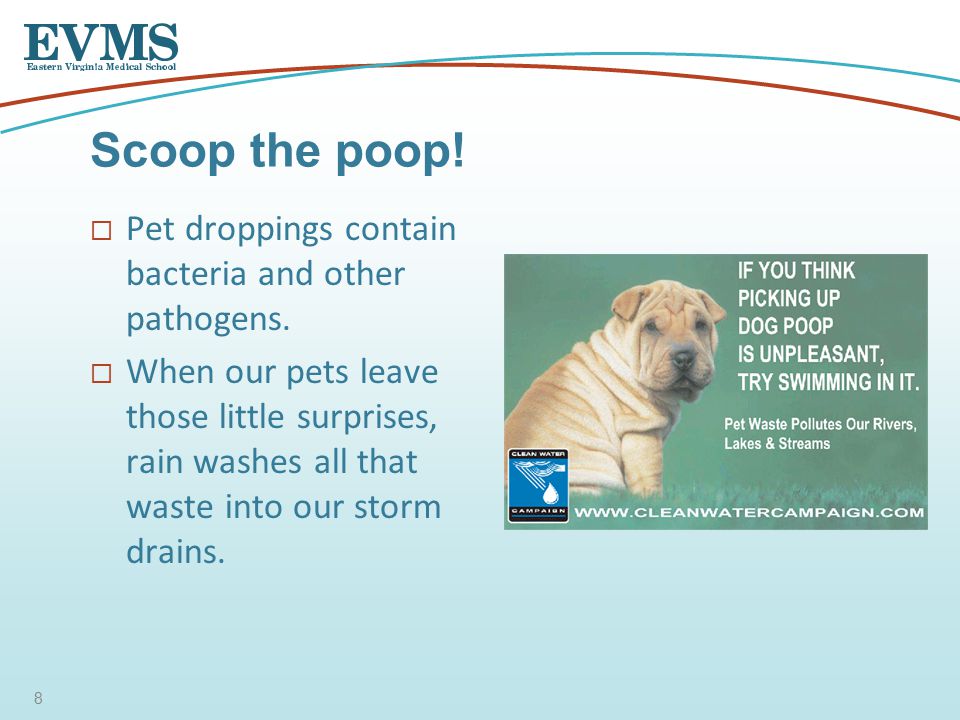  Pet droppings contain bacteria and other pathogens.