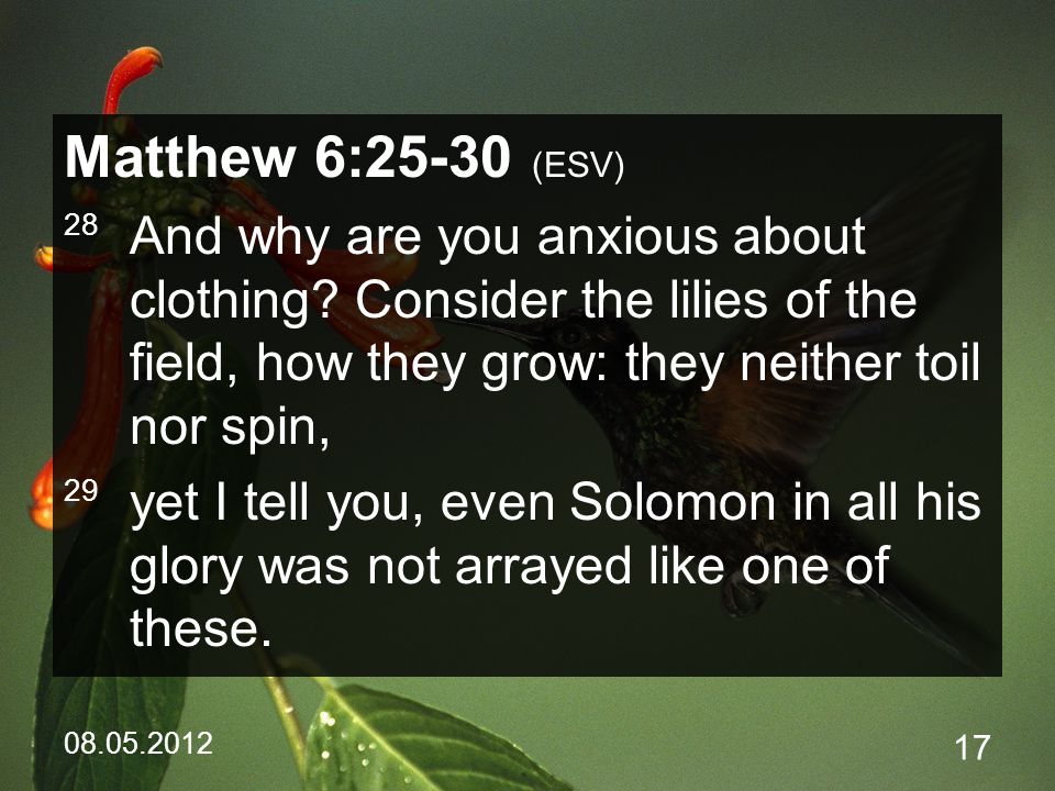 Matthew 6:25-30 (ESV) 28 And why are you anxious about clothing.