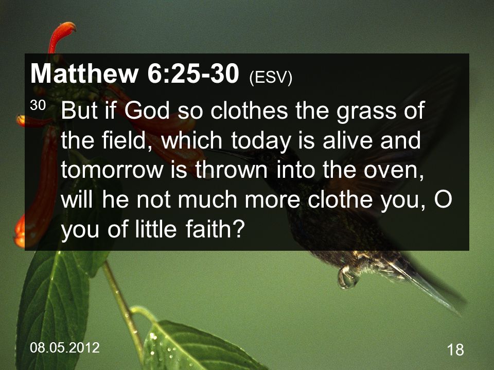 Matthew 6:25-30 (ESV) 30 But if God so clothes the grass of the field, which today is alive and tomorrow is thrown into the oven, will he not much more clothe you, O you of little faith
