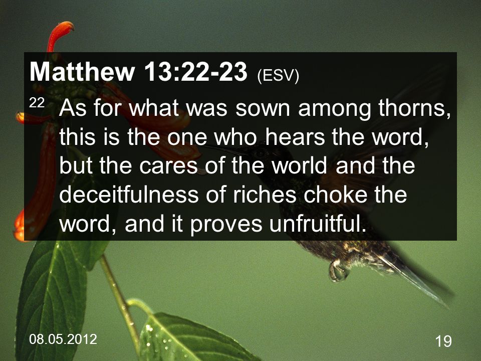 Matthew 13:22-23 (ESV) 22 As for what was sown among thorns, this is the one who hears the word, but the cares of the world and the deceitfulness of riches choke the word, and it proves unfruitful.
