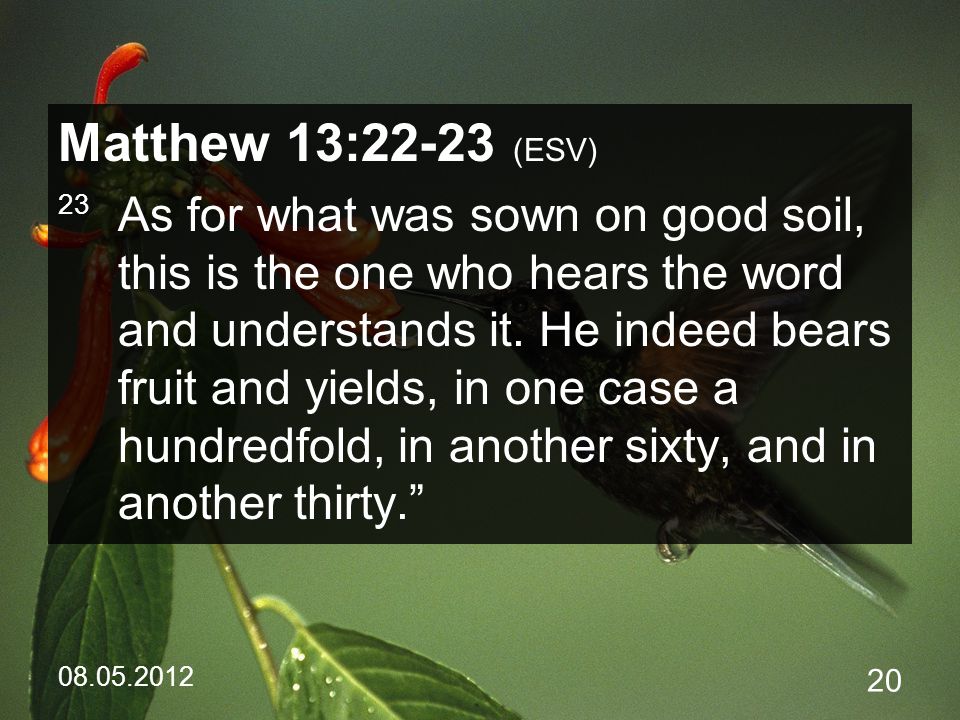 Matthew 13:22-23 (ESV) 23 As for what was sown on good soil, this is the one who hears the word and understands it.