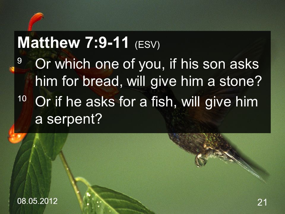 Matthew 7:9-11 (ESV) 9 Or which one of you, if his son asks him for bread, will give him a stone.