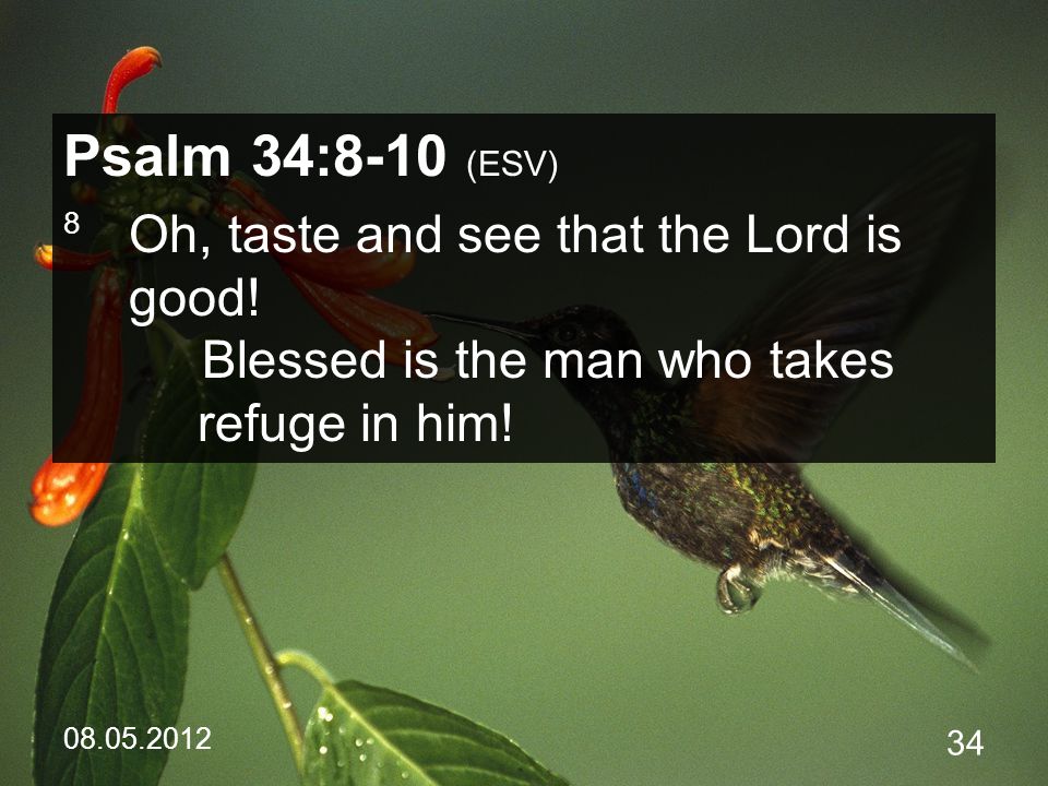 Psalm 34:8-10 (ESV) 8 Oh, taste and see that the Lord is good.