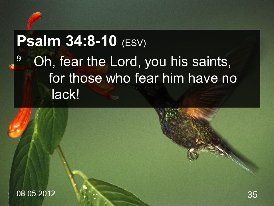 Psalm 34:8-10 (ESV) 9 Oh, fear the Lord, you his saints, for those who fear him have no lack!