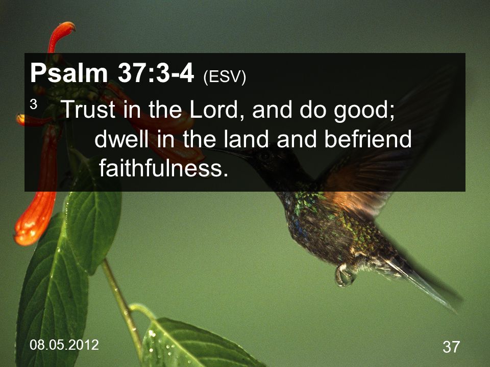 Psalm 37:3-4 (ESV) 3 Trust in the Lord, and do good; dwell in the land and befriend faithfulness.