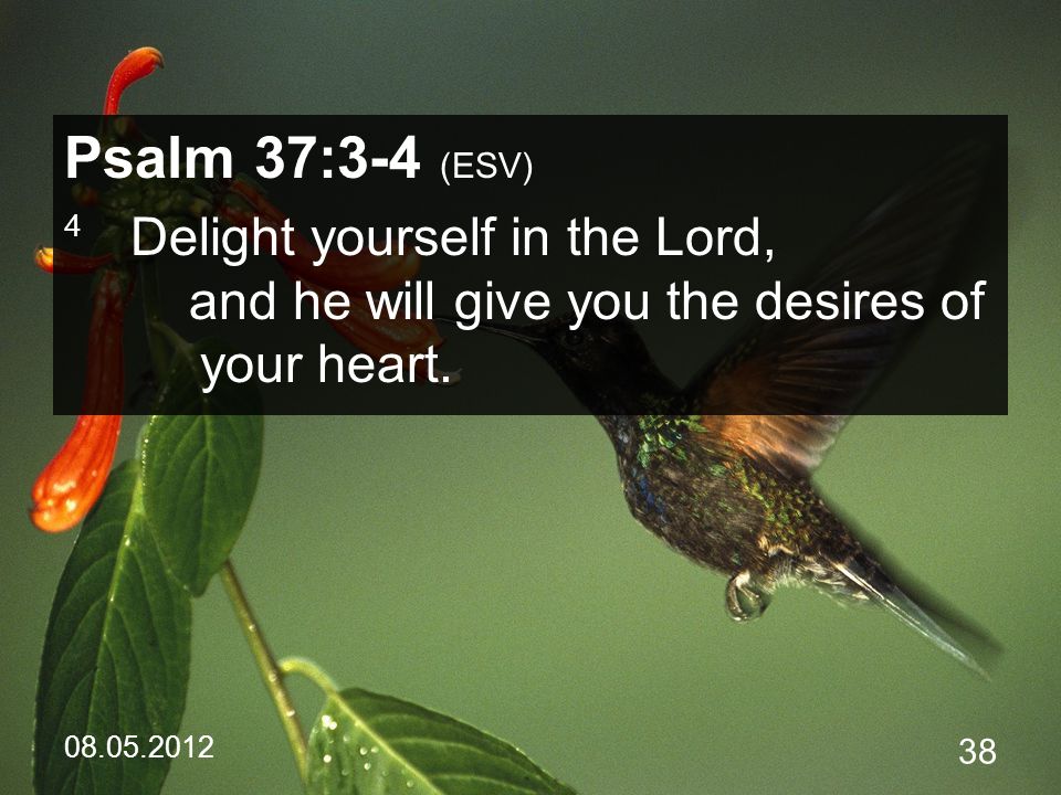 Psalm 37:3-4 (ESV) 4 Delight yourself in the Lord, and he will give you the desires of your heart.