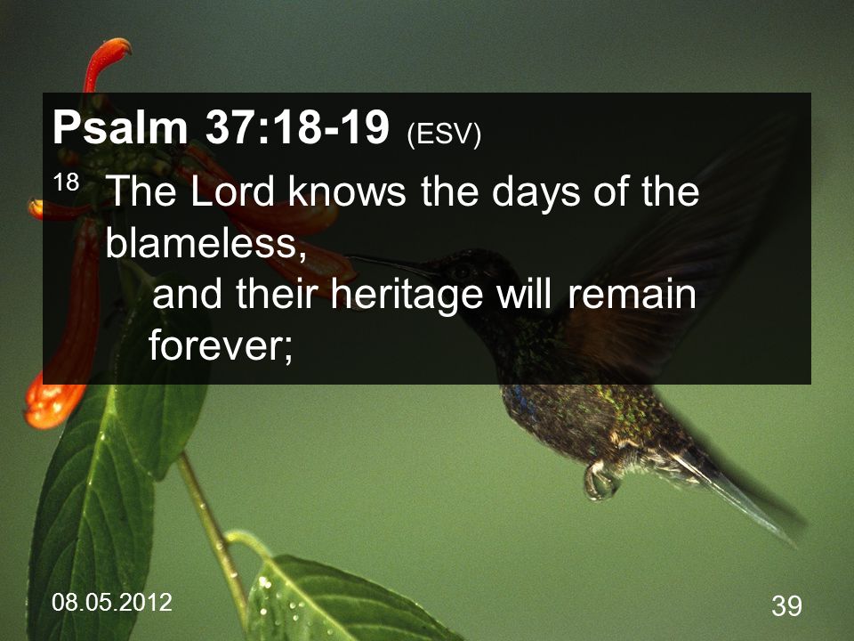 Psalm 37:18-19 (ESV) 18 The Lord knows the days of the blameless, and their heritage will remain forever;
