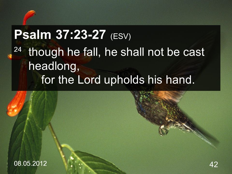 Psalm 37:23-27 (ESV) 24 though he fall, he shall not be cast headlong, for the Lord upholds his hand.