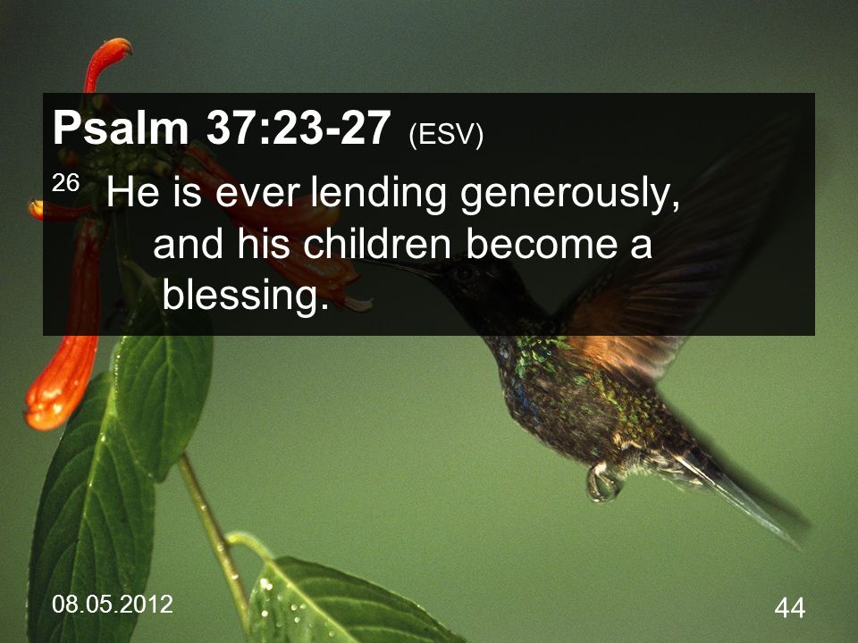 Psalm 37:23-27 (ESV) 26 He is ever lending generously, and his children become a blessing.