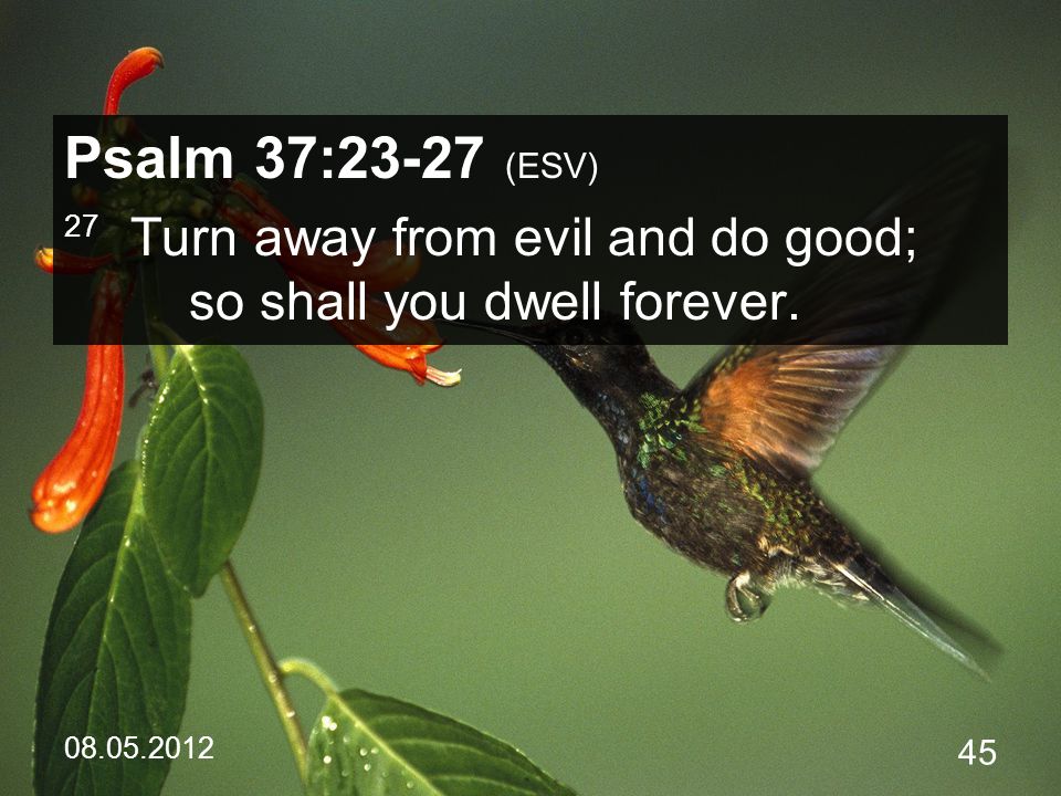 Psalm 37:23-27 (ESV) 27 Turn away from evil and do good; so shall you dwell forever.