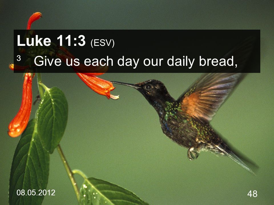 Luke 11:3 (ESV) 3 Give us each day our daily bread,