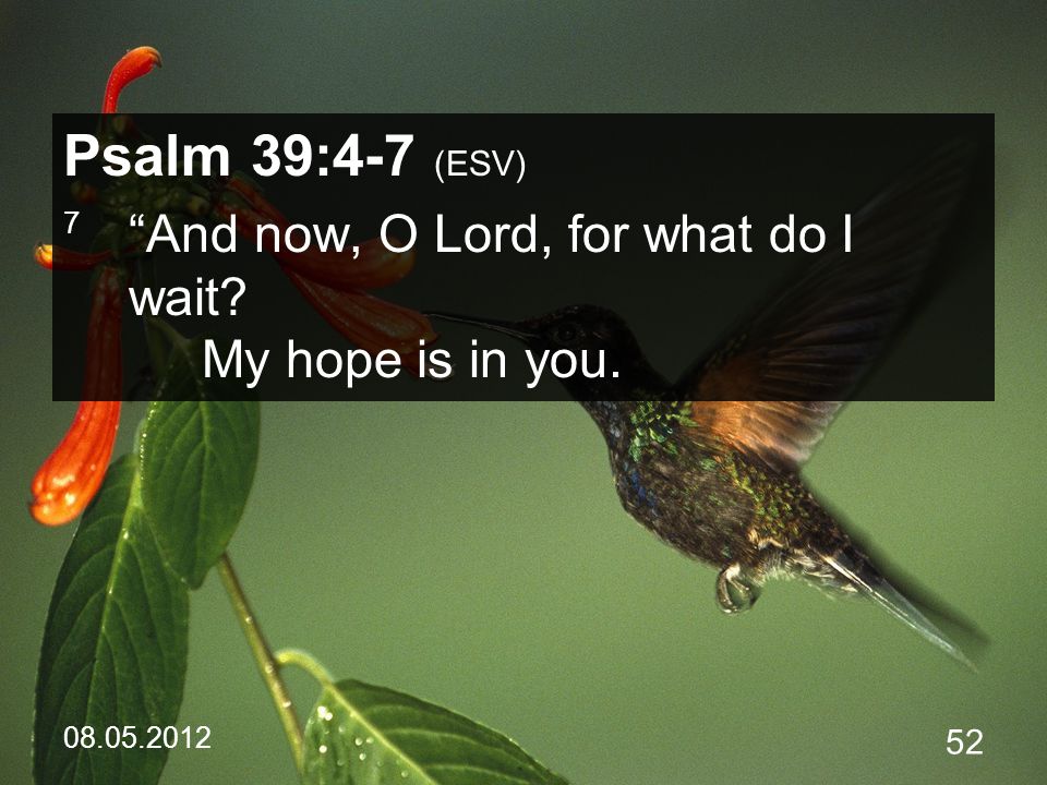 Psalm 39:4-7 (ESV) 7 And now, O Lord, for what do I wait My hope is in you.