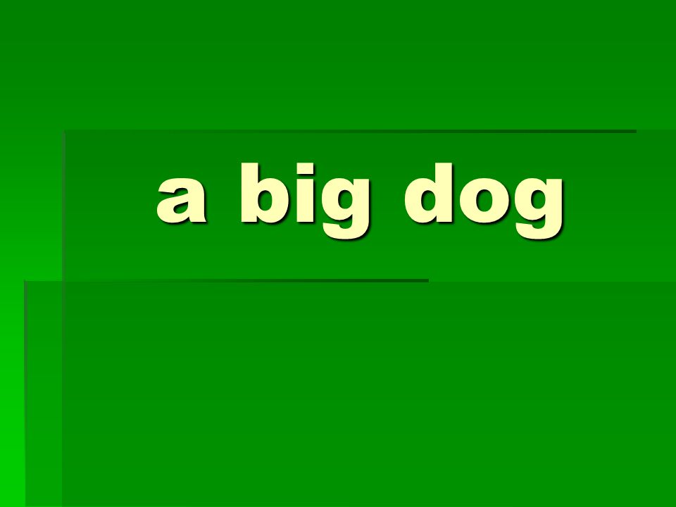 a big dog
