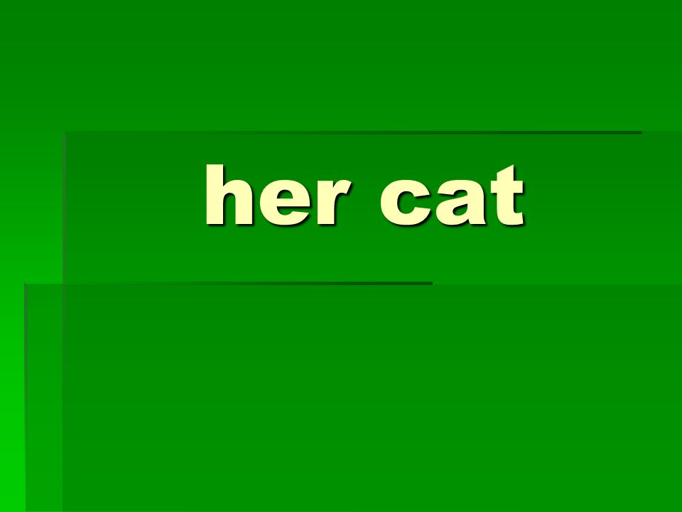 her cat