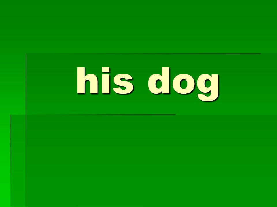 his dog