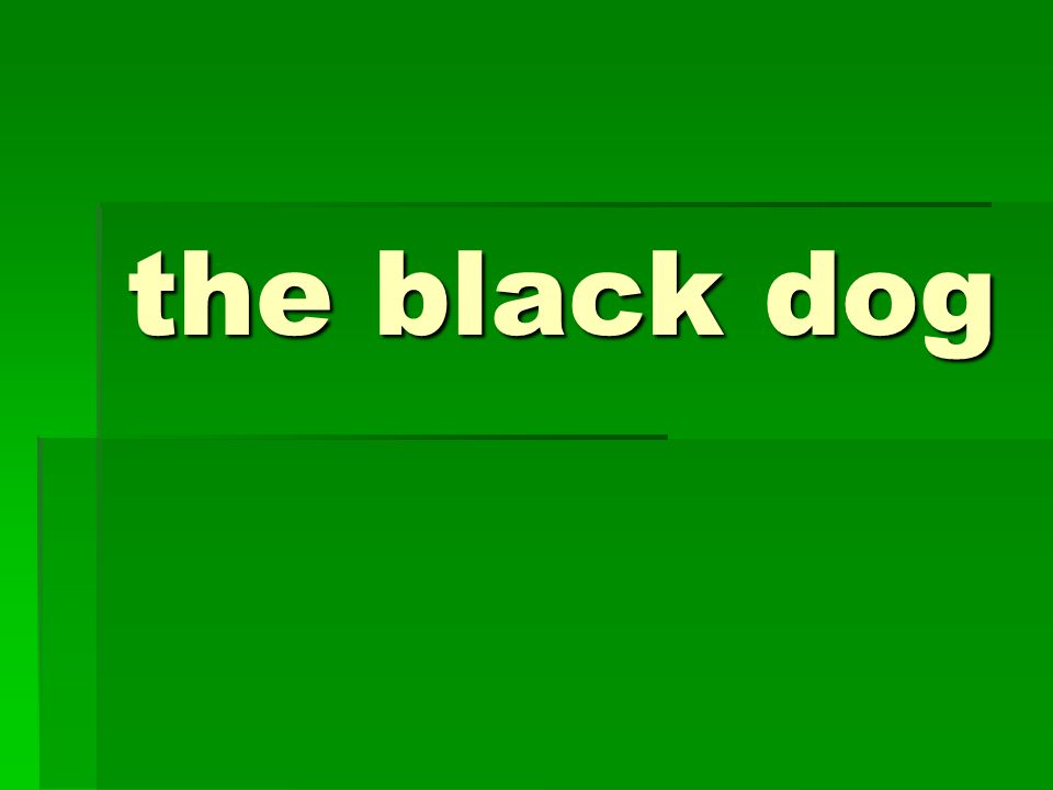 the black dog