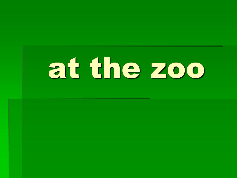 at the zoo
