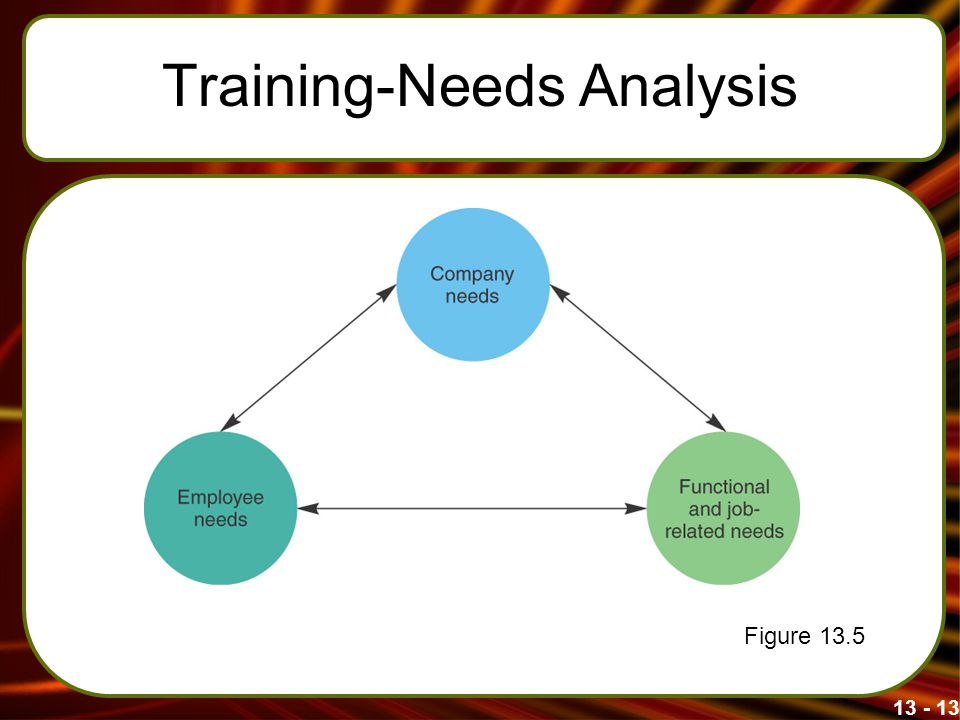 Training-Needs Analysis Figure 13.5