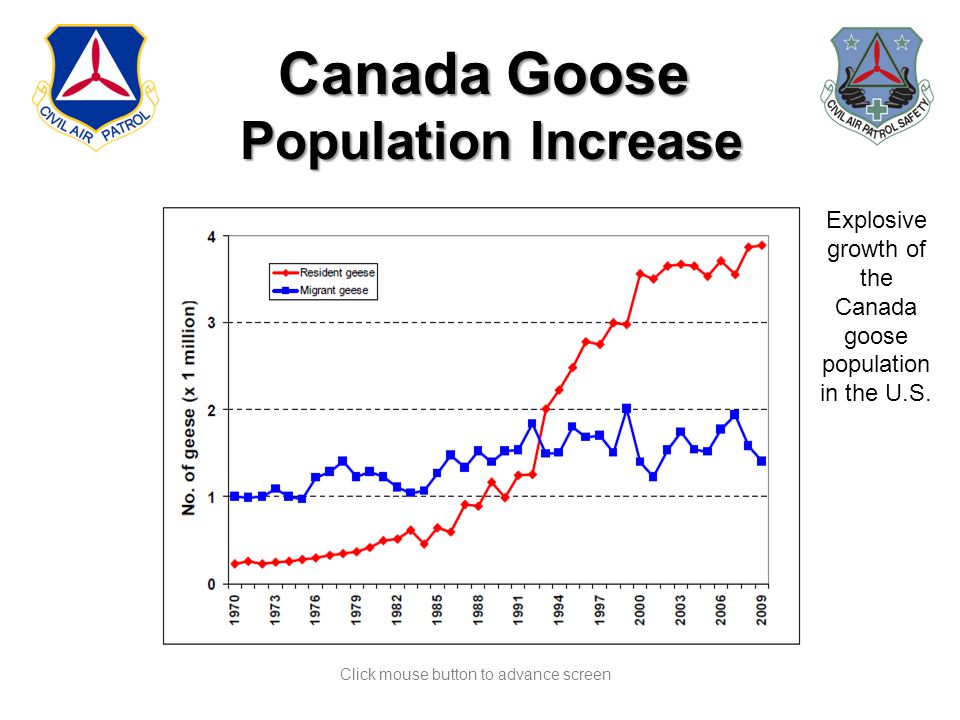canada goose sales increase canada goose sales increase