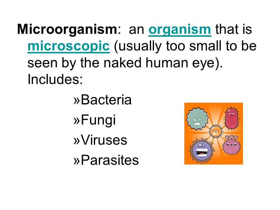 Objectives Describe the role of microorganisms in disease Describe how microorganisms are transmitted Describe proper hand washing techniques