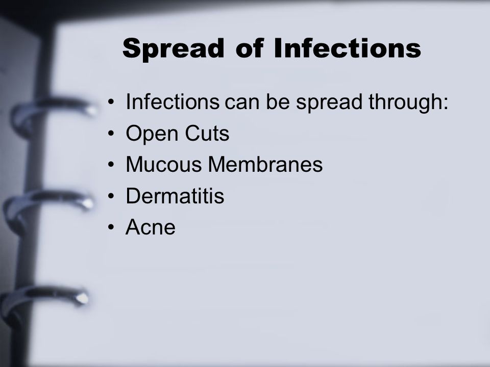 Spread of Infections Infections can be spread through: Open Cuts Mucous Membranes Dermatitis Acne