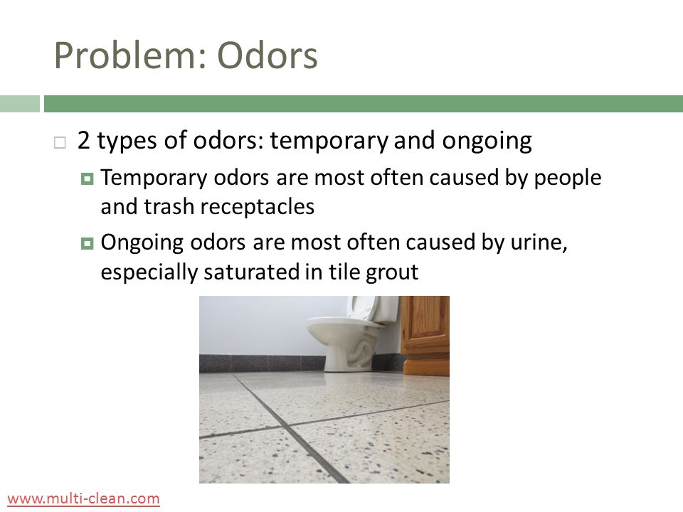 Problem: Odors  2 types of odors: temporary and ongoing  Temporary odors are most often caused by people and trash receptacles  Ongoing odors are most often caused by urine, especially saturated in tile grout