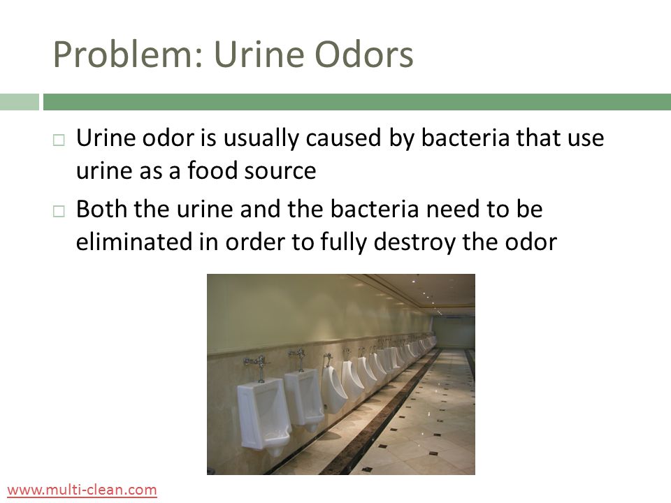 Problem: Urine Odors  Urine odor is usually caused by bacteria that use urine as a food source  Both the urine and the bacteria need to be eliminated in order to fully destroy the odor